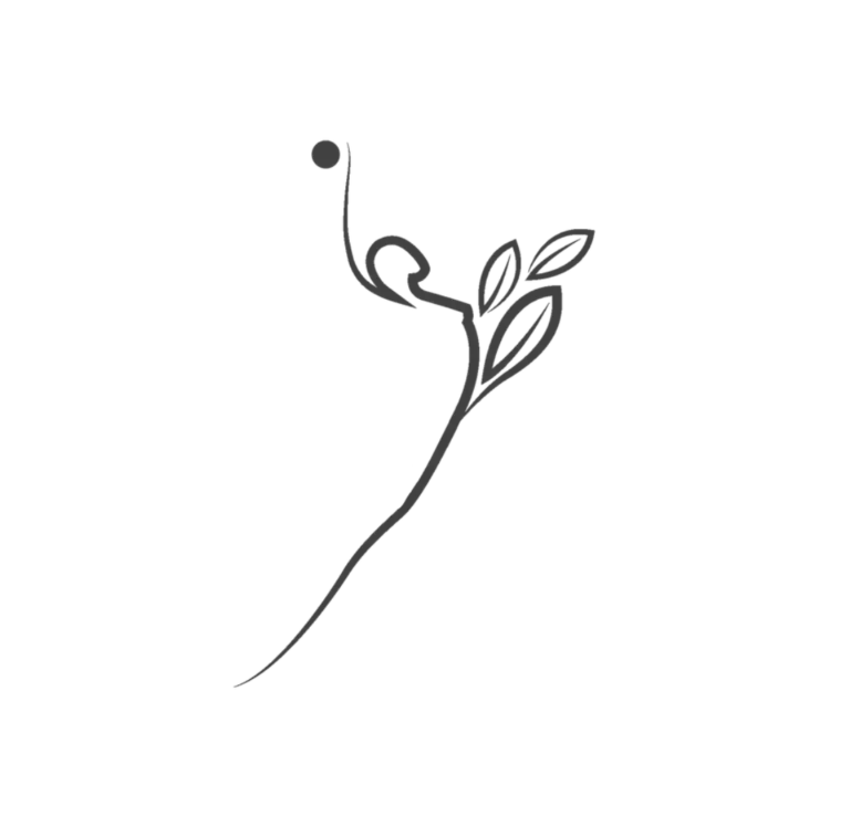Identidad de marca | 2017